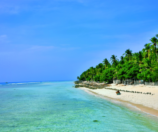 Adorable Andaman